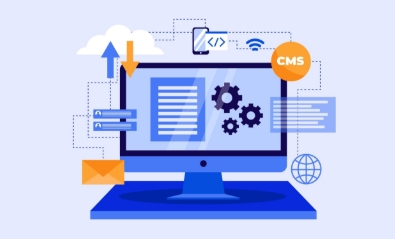 How Custom Web Applications Improve Business Efficiency