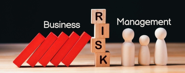 The Importance of Risk Management in Business Growth